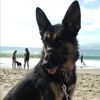 juanitasdeals